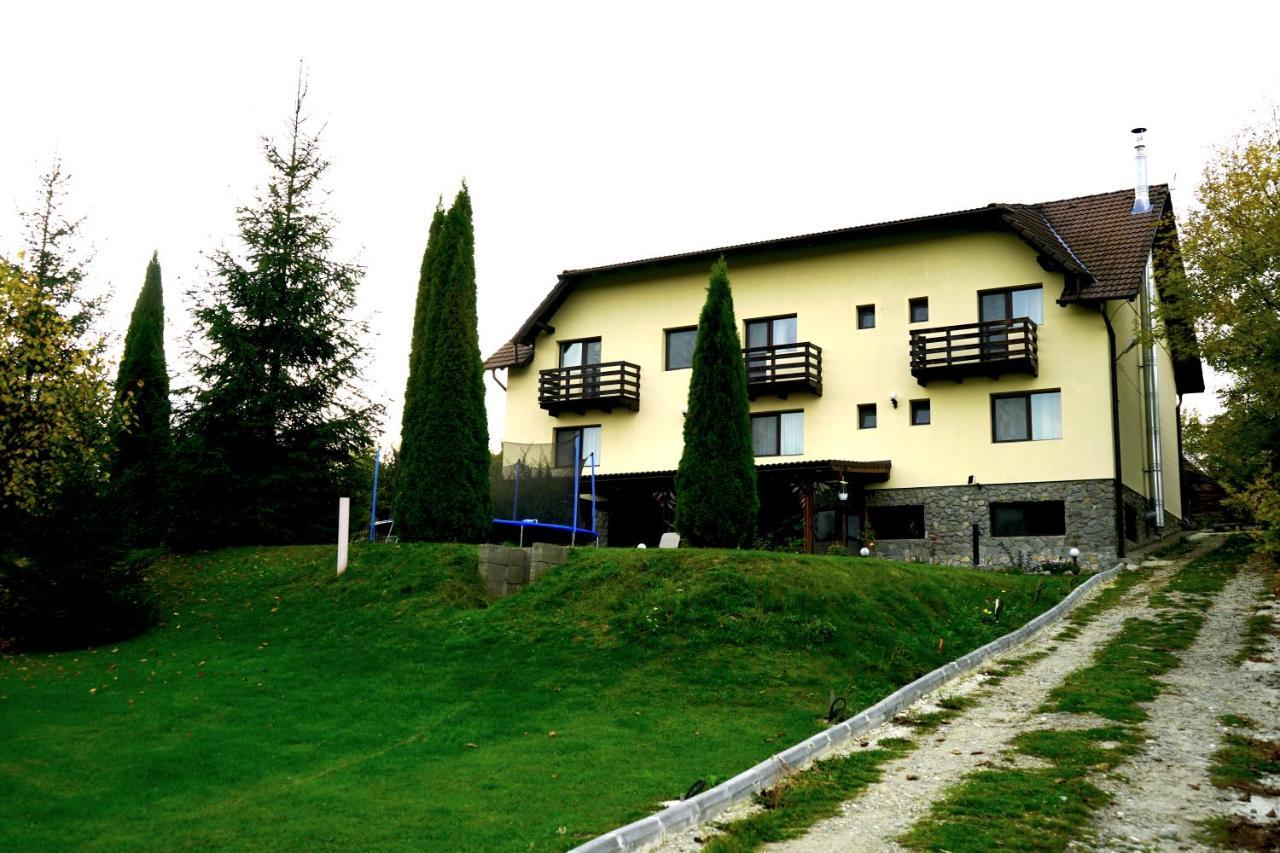 Vila Sohodol Travel Bran  Buitenkant foto