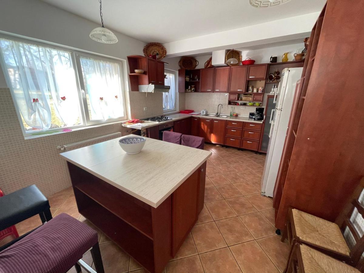 Vila Sohodol Travel Bran  Buitenkant foto