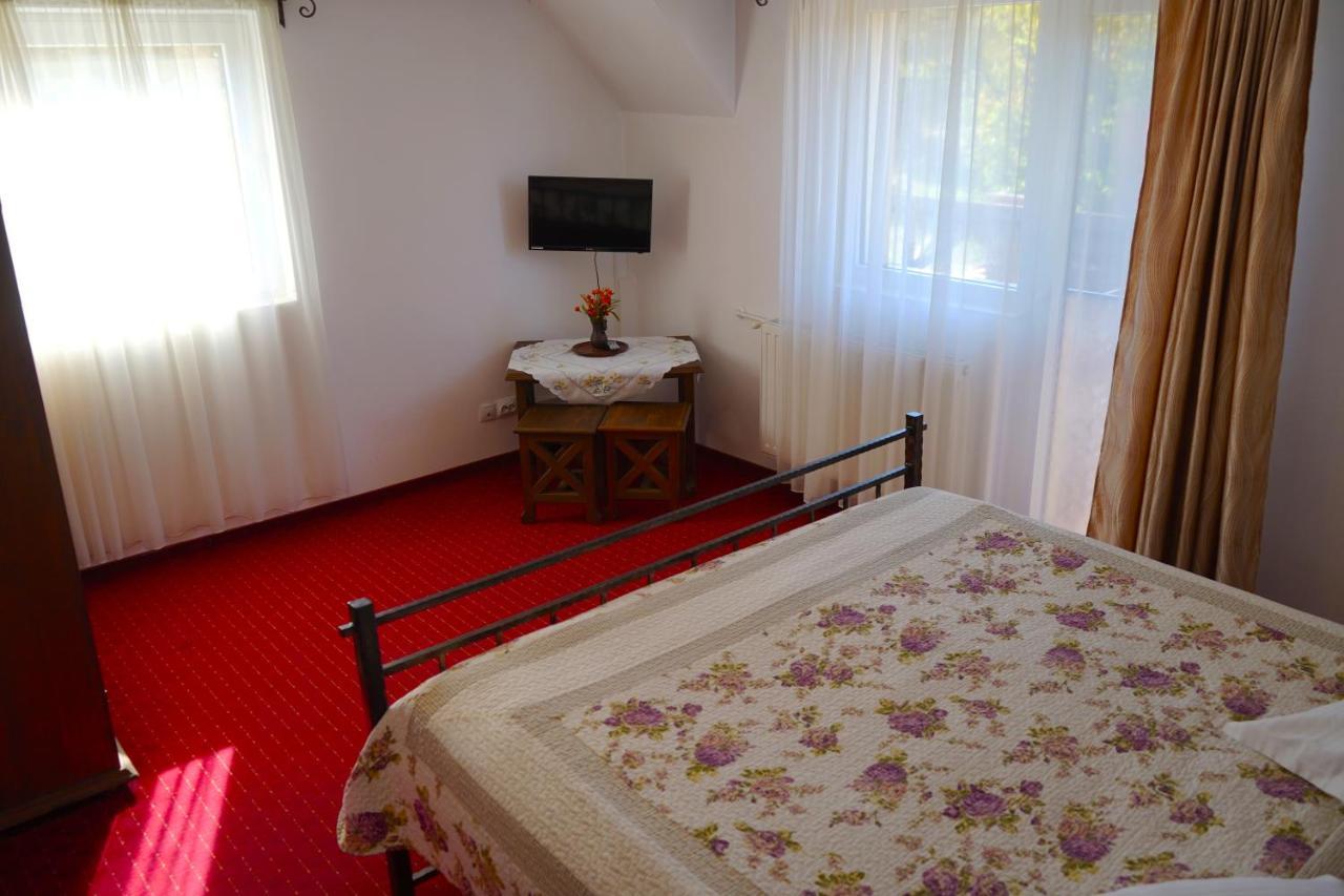 Vila Sohodol Travel Bran  Buitenkant foto