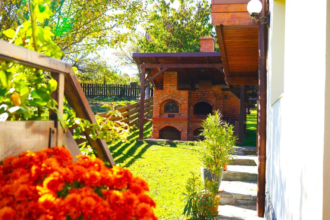 Vila Sohodol Travel Bran  Buitenkant foto