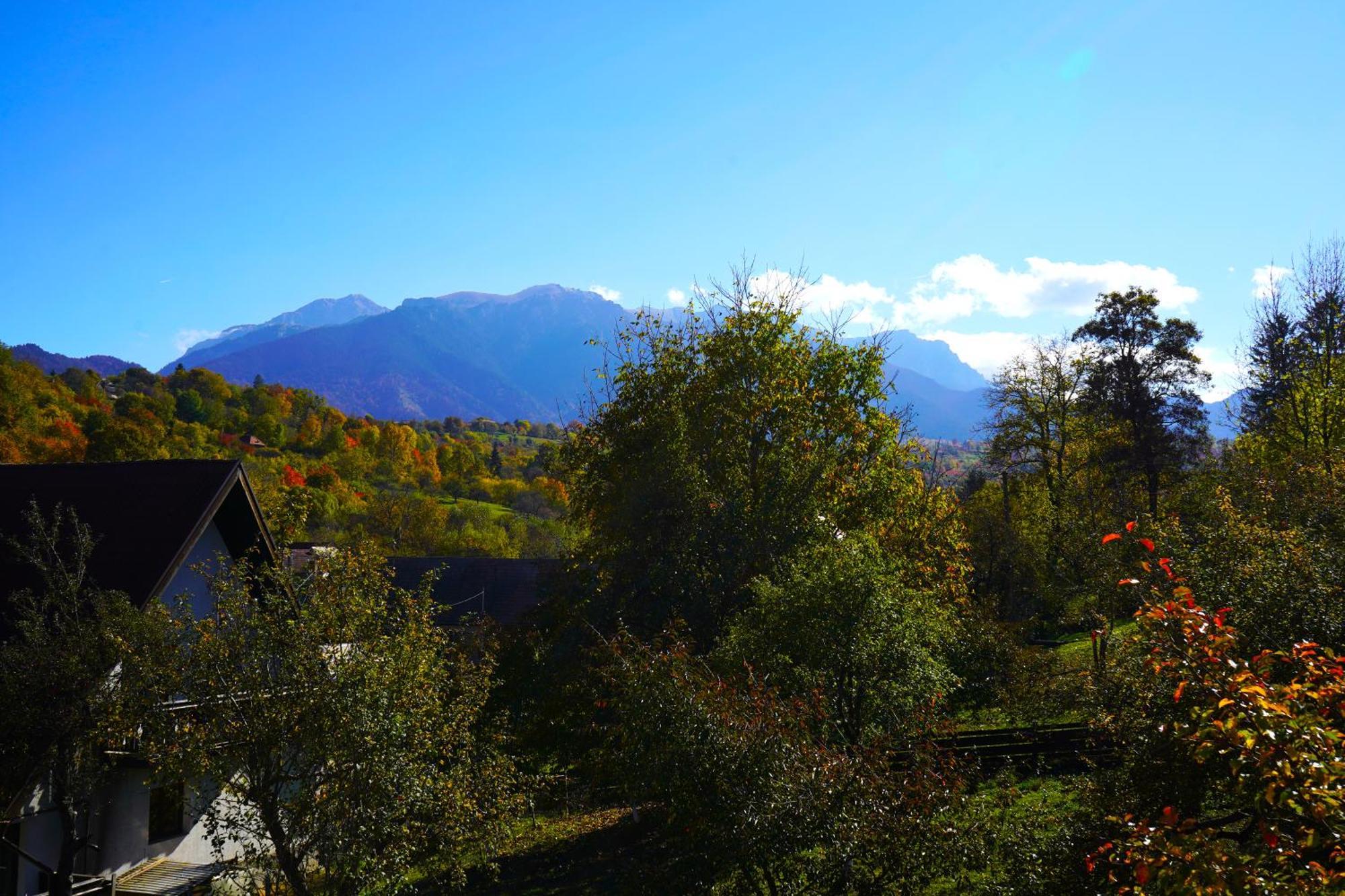 Vila Sohodol Travel Bran  Buitenkant foto
