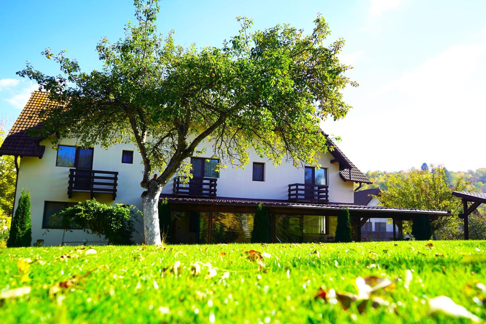 Vila Sohodol Travel Bran  Buitenkant foto